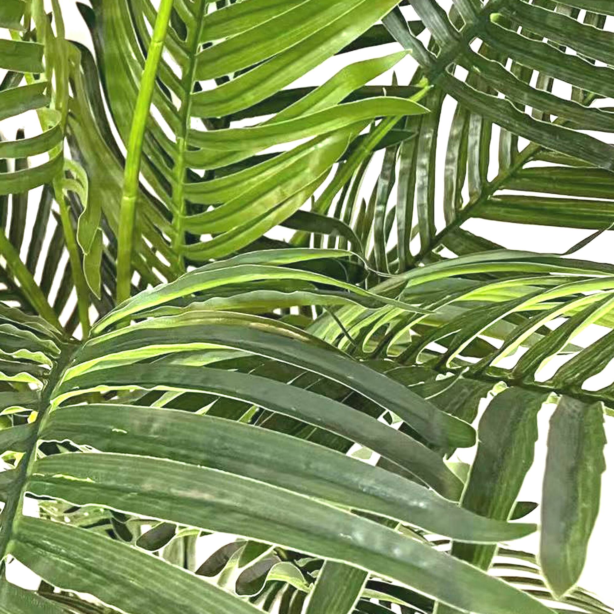 6ft. Potted Green Areca Palm Tree by Ashland®